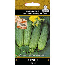 ���������� ������ ����� F1  