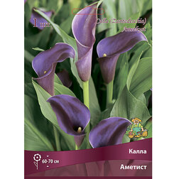 ���������� ����� �������  