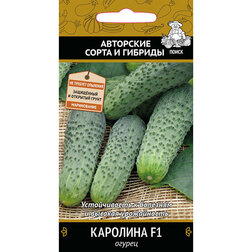 ���������� ������ �������� F1  