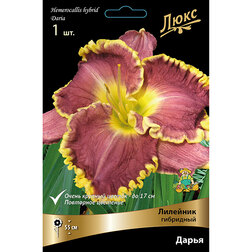 ���������� �������� ��������� �����  