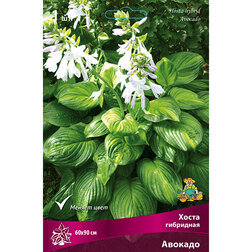 ���������� ����� ��������� �������  