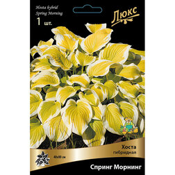 ���������� ����� ��������� ������ �������  