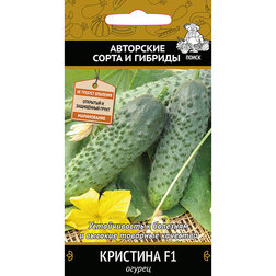 ���������� ������ �������� F1  