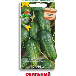 ���������� ������ ��������  