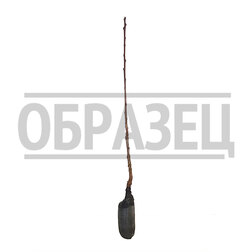 ���������� ����� �������  