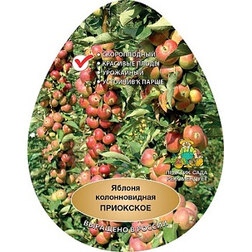 ���������� ������ ������������� ��������� (������ �-9, ����������)  