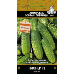 ���������� ������ ������ F1  