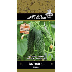 ���������� ������ ������ F1  