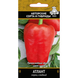 ���������� ����� ������� ������  