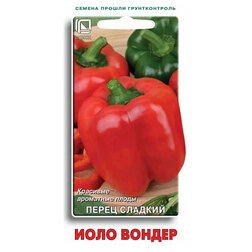 ���������� ����� ������� ���� ������  