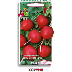 ���������� ����� ������  