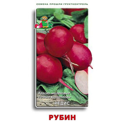 ���������� ����� �����  