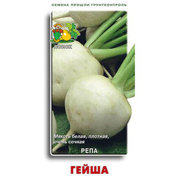 ���������� ������ ���� �����  