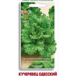 ���������� ������ ������ ��������� ��������  