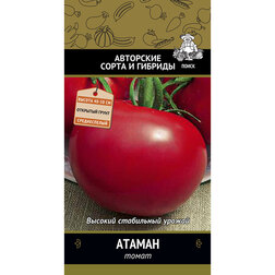 ���������� ����� ������  