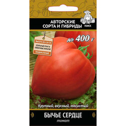 ���������� ����� ����� ������  