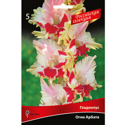 ���������� ��������� ���� ������ (5 ��.)  