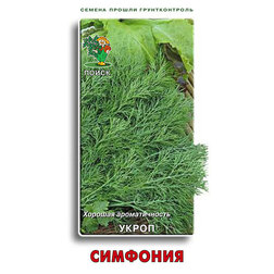 ���������� ������ ������ ��������  