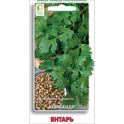 ���������� �������� ������  