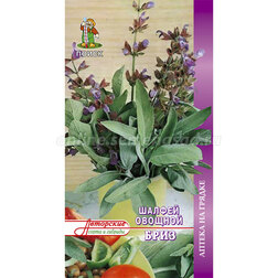 ���������� ������ ������� ����  