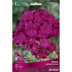 ���������� ����� ����������� ������  