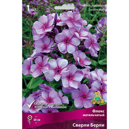 ���������� ����� ����������� ������ �����  