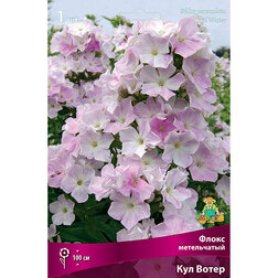 ���������� ����� ����������� ��� �����  