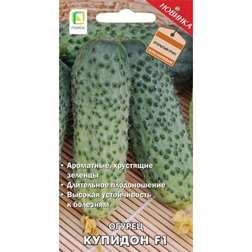 ���������� ������ ������� F1  