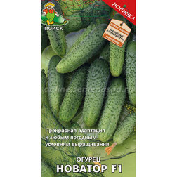 ���������� ������ ������� F1  