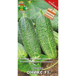 ���������� ������ ����� F1  