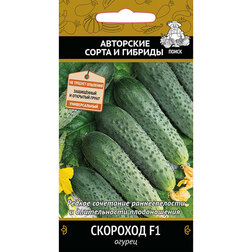 ���������� ������ �������� F1  