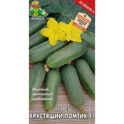 ���������� ������ ��������� ������ F1  