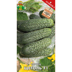 ���������� ������ ������ F1  