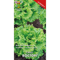 ���������� ����� �������  