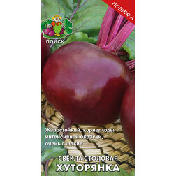 ���������� ������ �������� ���������  