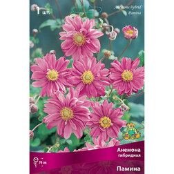 ���������� ������� ��������� ������  