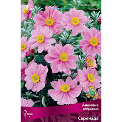 ���������� ������� ��������� ��������  