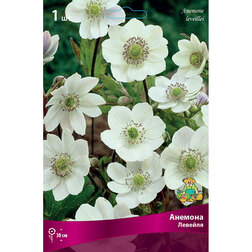 ���������� ������� �������  