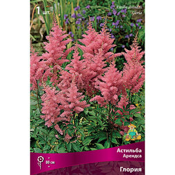 ���������� �������� ������� ������  