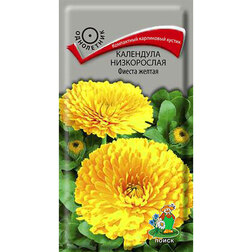 ���������� ��������� ����������� ������ ������  