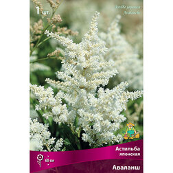 ���������� �������� �������� �������  