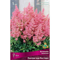 ���������� �������� �������� ������ ��� �������  