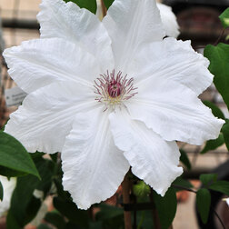 ���������� �������� ��������������� ���-��-����  