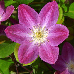 ���������� �������� ��������������� ������ �� ����  