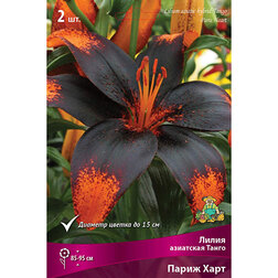 ���������� ����� ��������� ����� ����� ���� (2 ��.)  