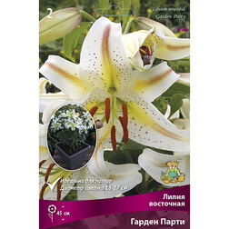 ���������� ����� ��������� ��������� ������ ����� (2 ��.)  