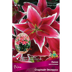 ���������� ����� ��������� ��������� �������� �������� (2 ��.)  