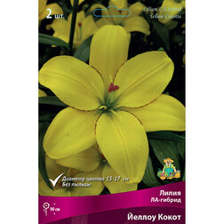 ���������� ����� ��-������ ������ ����� (2 ��.)  