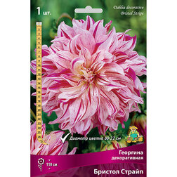 ���������� �������� ������������ ������� ������ (1 ��.)  