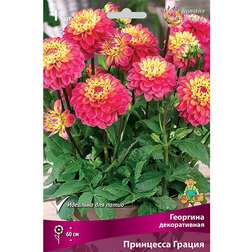 ���������� �������� ������������ ��������� ������ (1 ��.)  